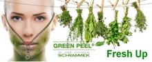 dr. schrammek green peel fresh up